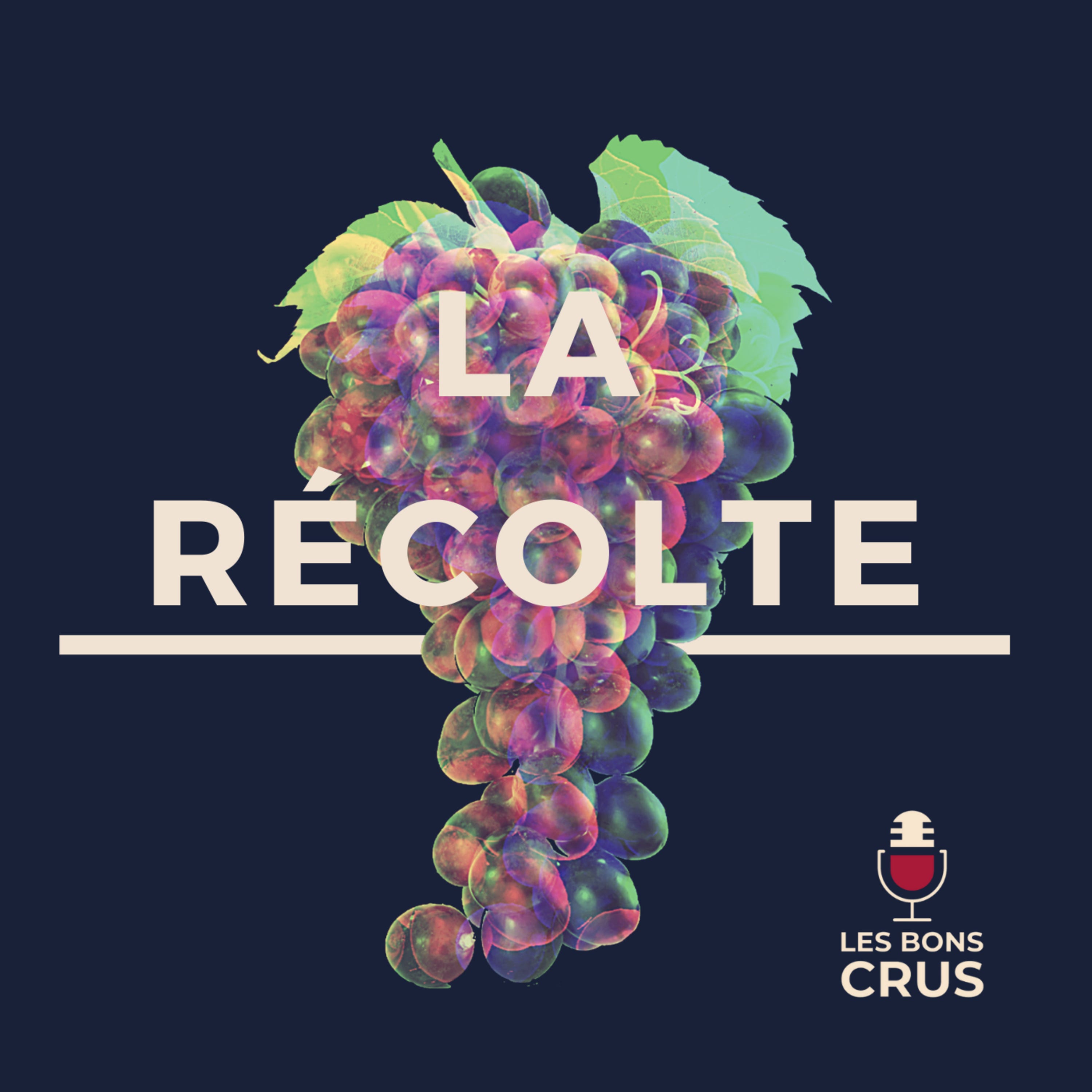 Tommy Genesis, Pouya, JPEGMAFIA, Big Baby Scumbag, Little Simz... - Récolte Rap