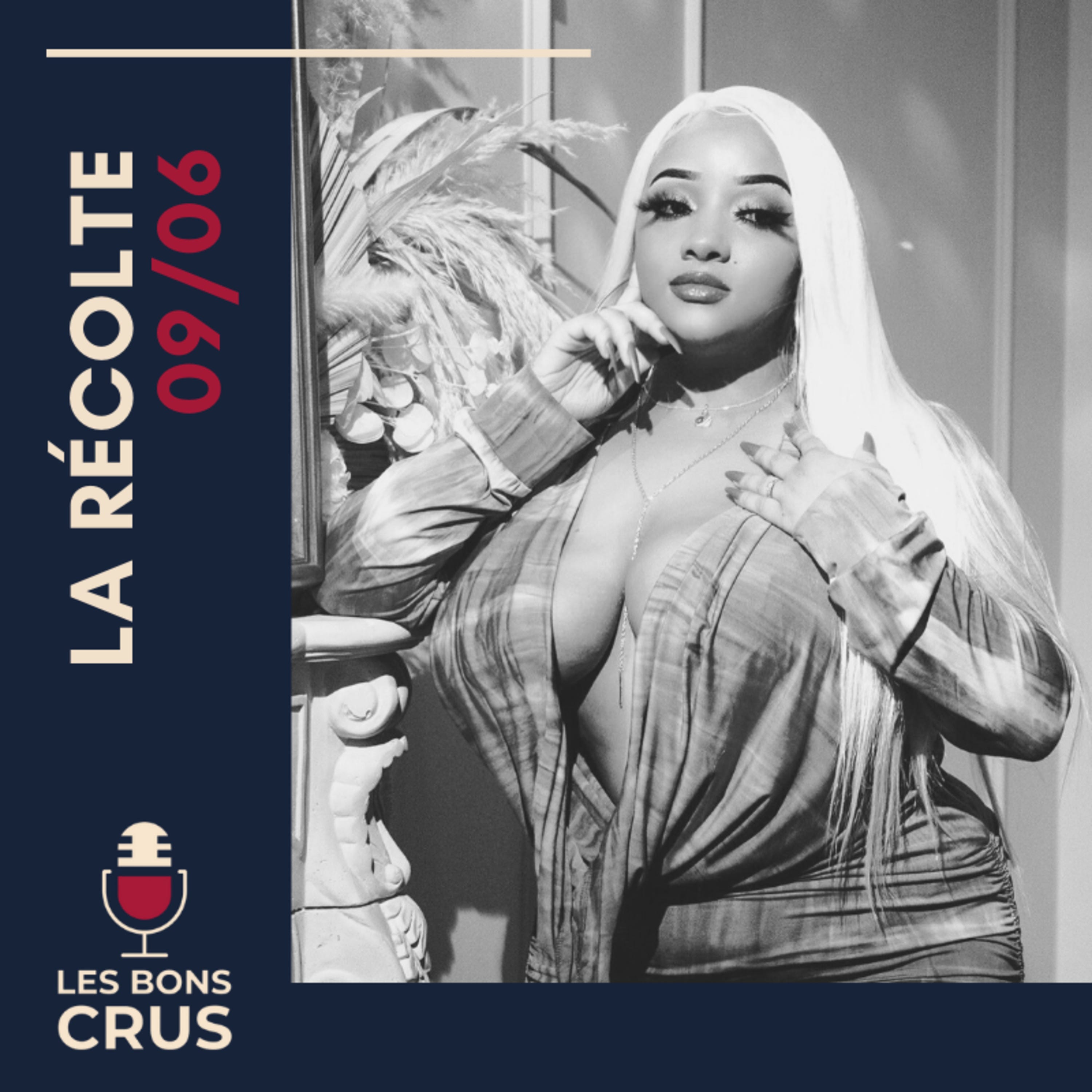 Santana Fox, P'ierre Bourne, Charly Kid, Smino, Al Nather, Shabjdeed, Yung Lean, Shakewell - Récolte Rap